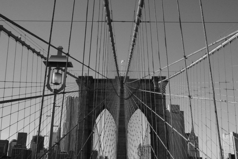 Black and white_0023